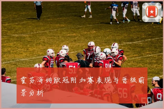 霍芬海姆欧冠附加赛表现与晋级前景分析