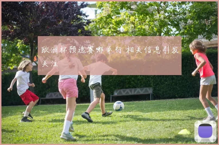 欧洲杯预选赛哪举行 相关信息引发关注