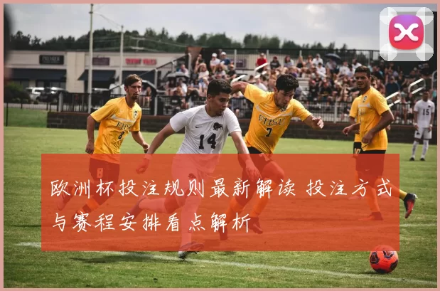 欧洲杯投注规则最新解读 投注方式与赛程安排看点解析