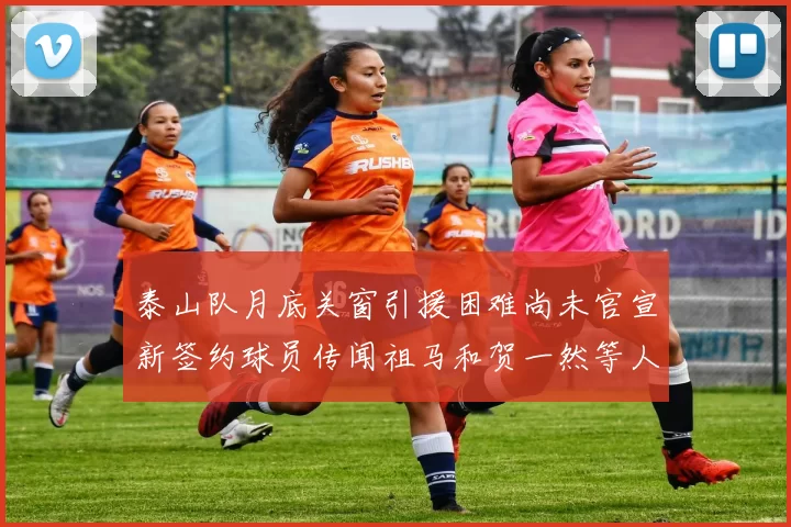 泰山队月底关窗引援困难尚未官宣新签约球员传闻祖马和贺一然等人