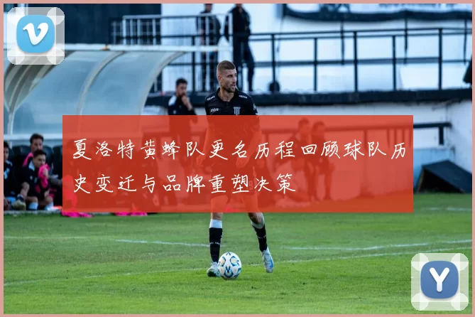 夏洛特黄蜂队更名历程回顾球队历史变迁与品牌重塑决策