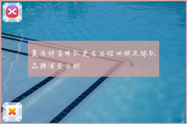 夏洛特黄蜂队更名历程回顾及球队品牌演变分析