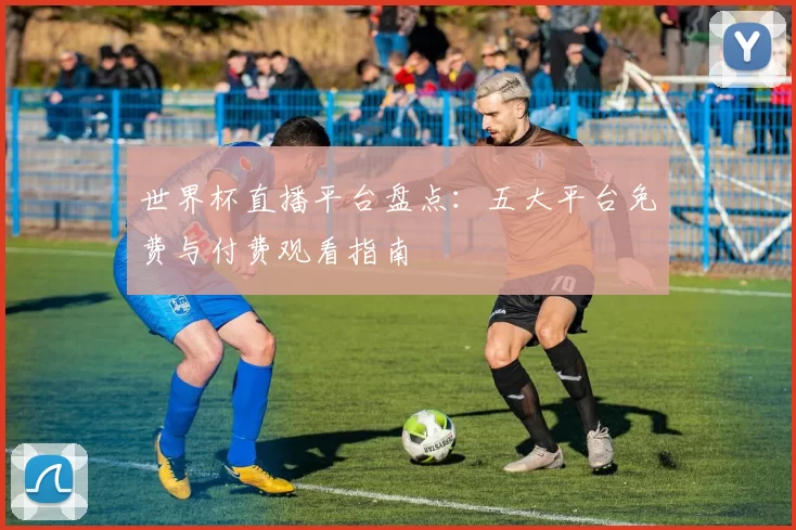世界杯直播平台盘点：五大平台免费与付费观看指南