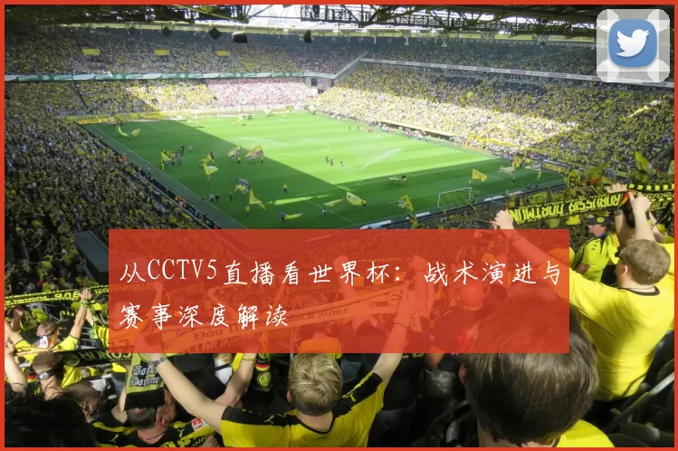 从CCTV5直播看世界杯：战术演进与赛事深度解读
