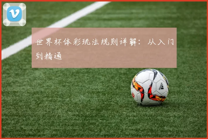 世界杯体彩玩法规则详解:从入门到精通