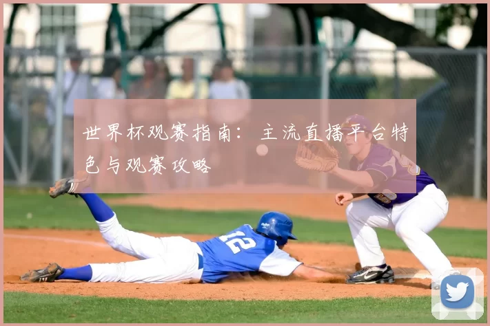世界杯观赛指南:主流直播平台特色与观赛攻略