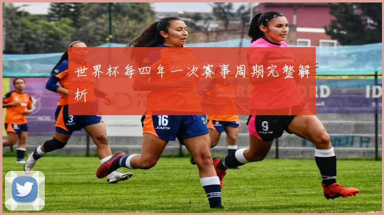 世界杯每四年一次赛事周期完整解析